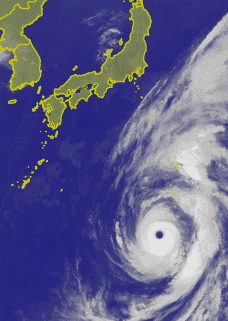 Typhoon-Hagibis-2019-10-09-2019-10-11.gif