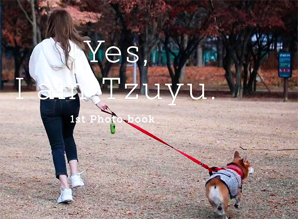 Tzuyu Stroll her dog