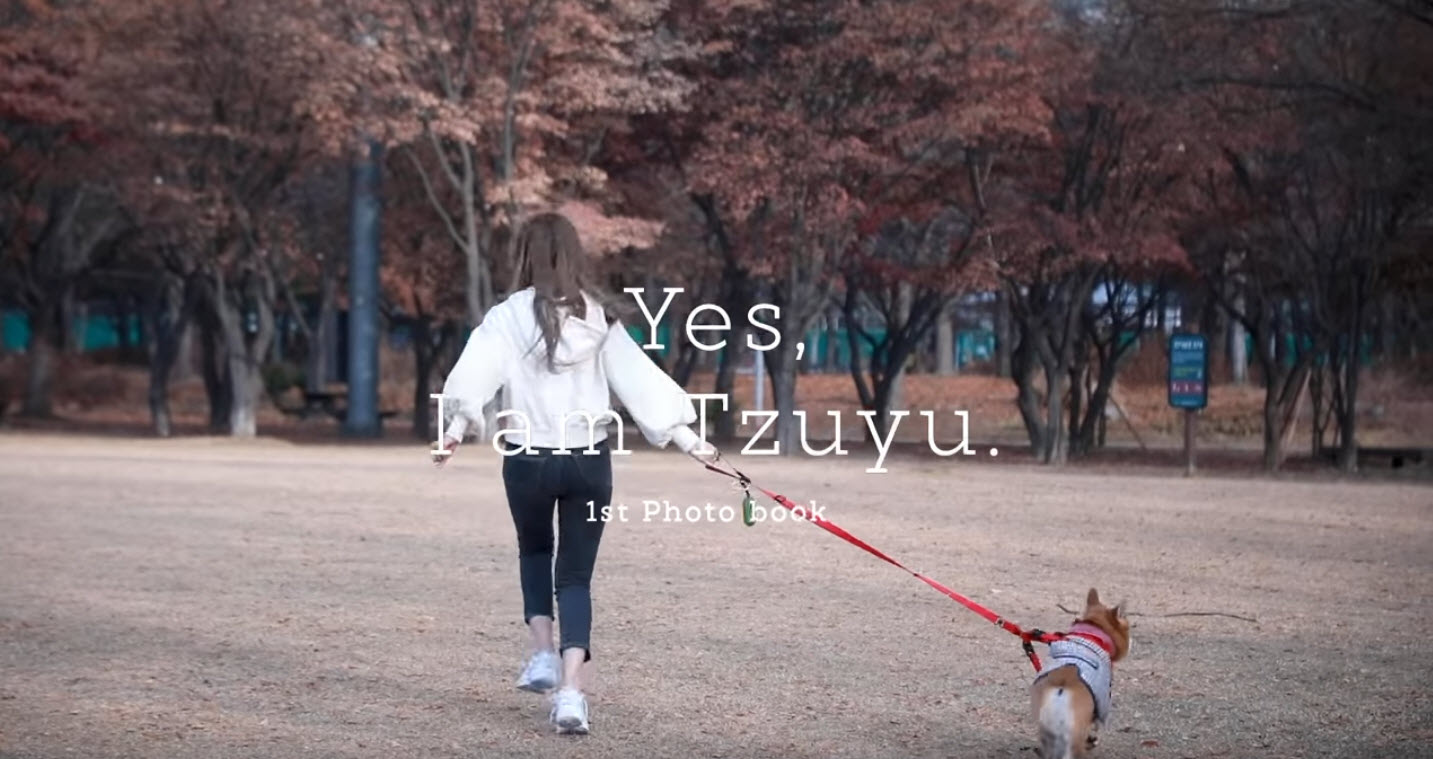 dog strolling by tzuyu