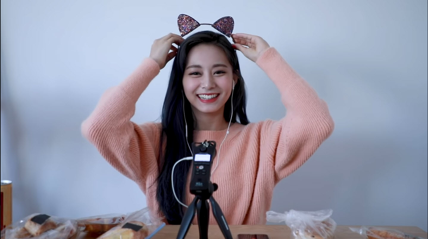 CAT EARS TZUYU.jpg