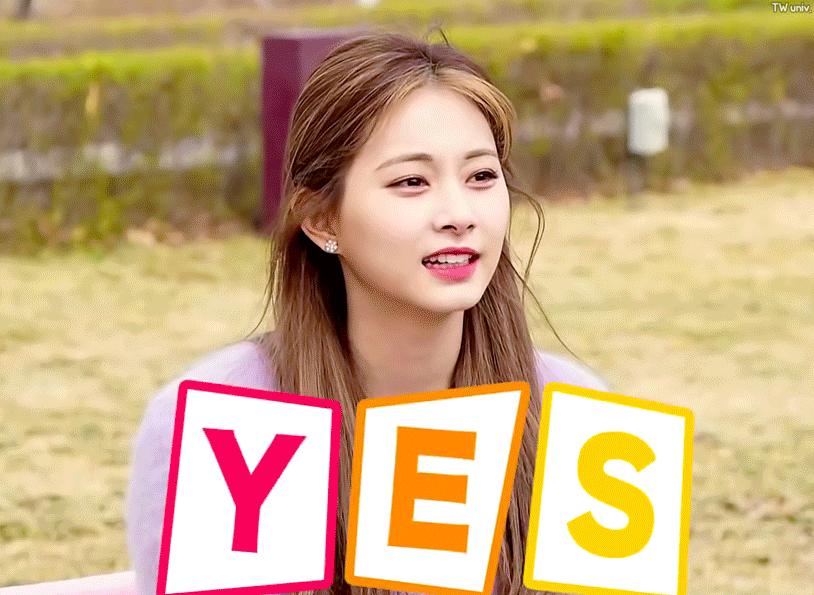 tzuyu-ttt-yes-or-no-SAY-YES.gif