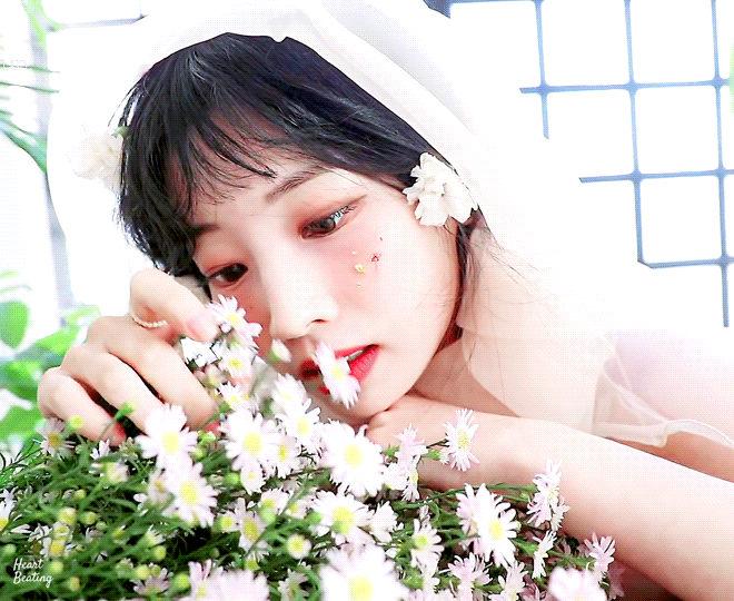 Dahyun-Yes-I-am-Dahyun-2022-04-18-cosmos flower.gif