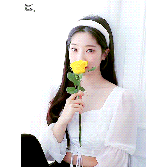 Dahyun-Yes-I-am-Dahyun-2022-04-18-tulip-or-Yellow-Rose.gif
