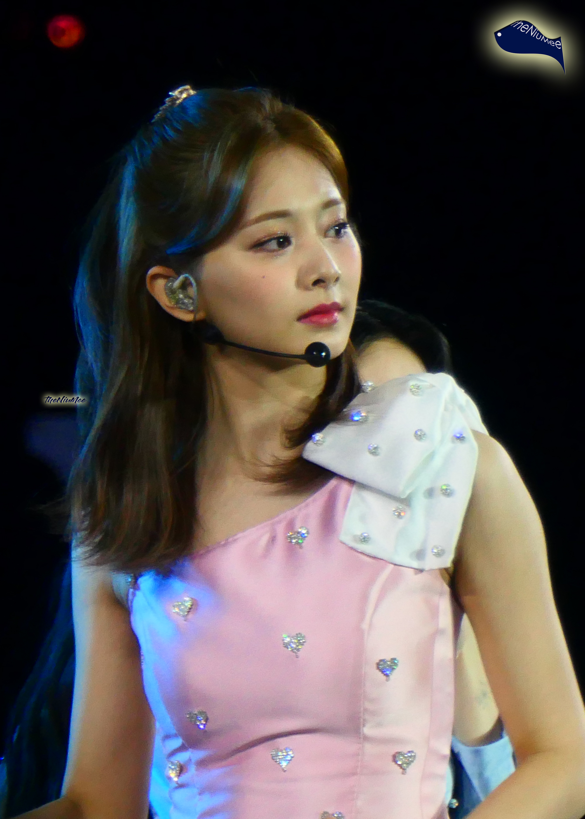 Tzuyu (05) Twice 4th World Tour Encore.jpg