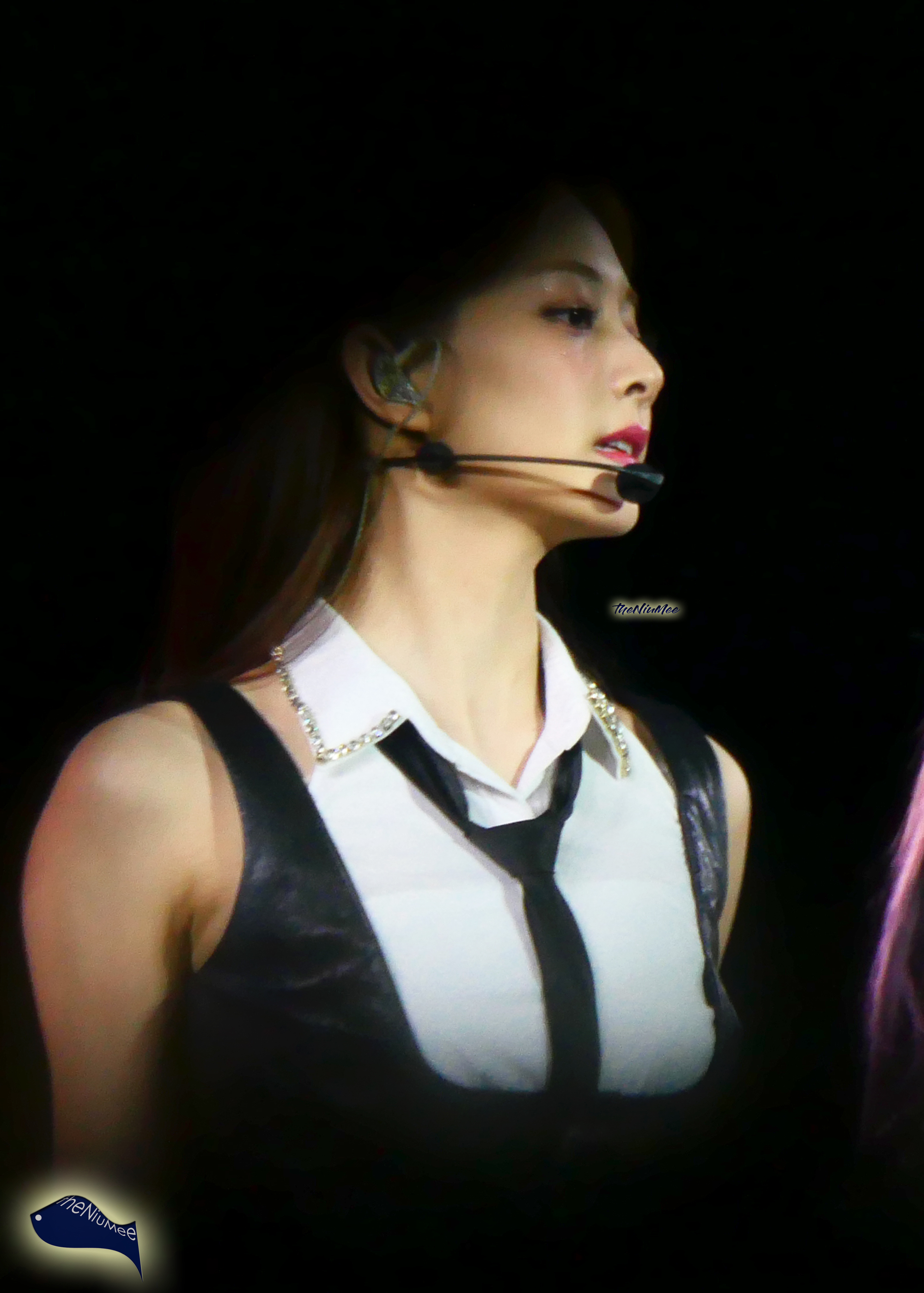 Tzuyu (08) Twice 4th World Tour Encore.jpg