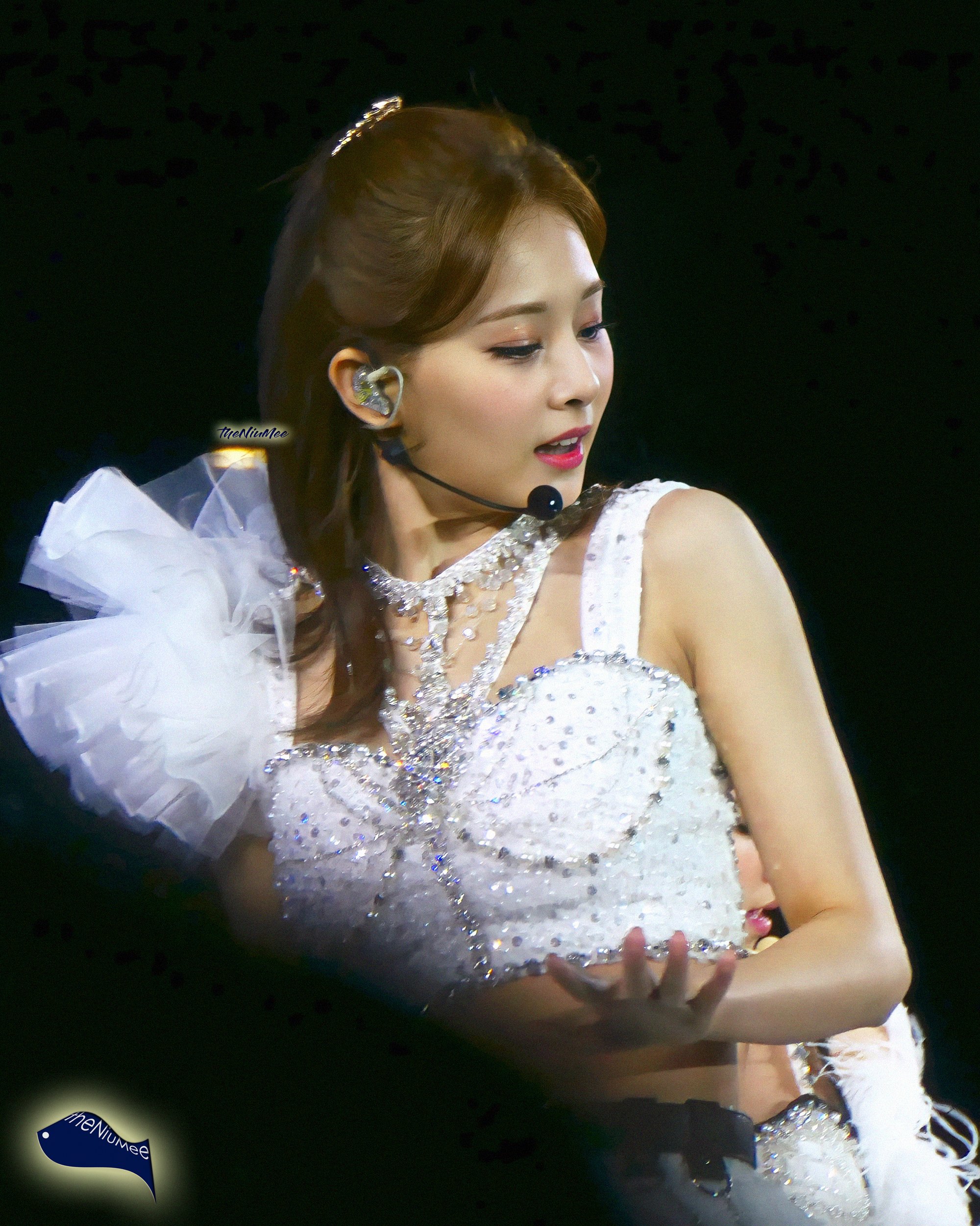 Tzuyu (09) Twice 4th World Tour Encore.jpg