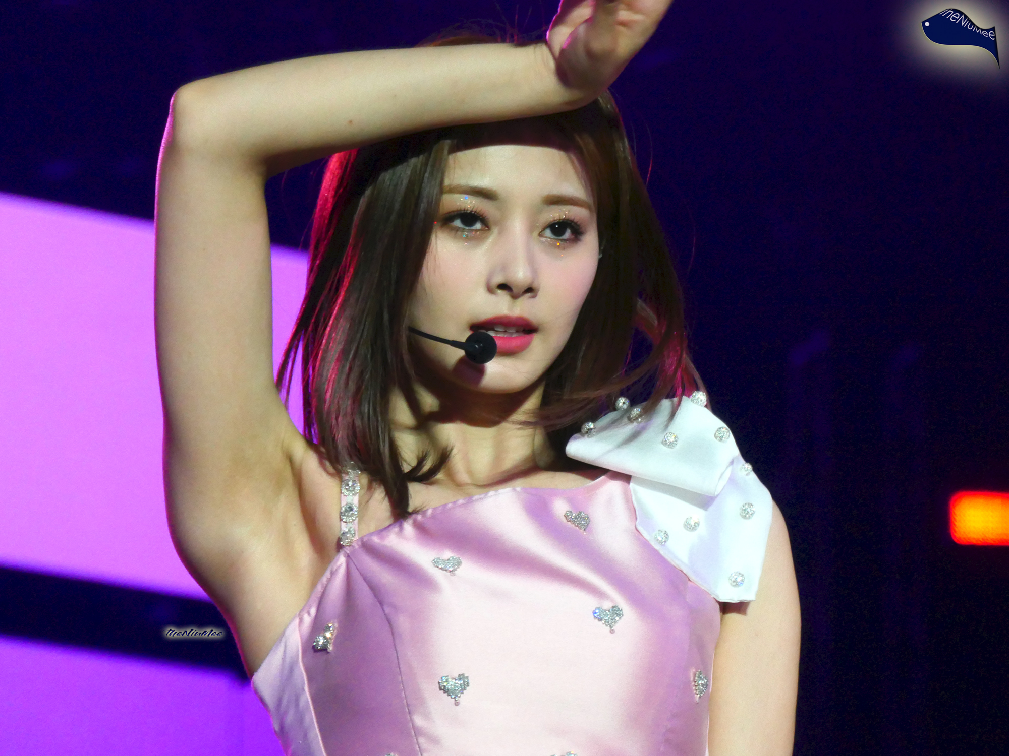 Tzuyu - Twice 4th World Tour Encore.jpg