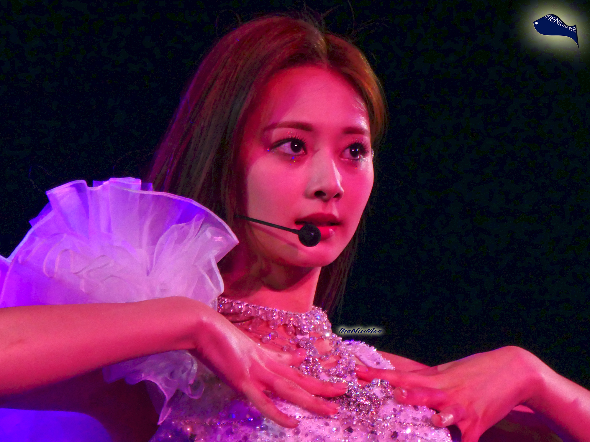 Tzuyu (3) Twice 4th World Tour Encore.jpg