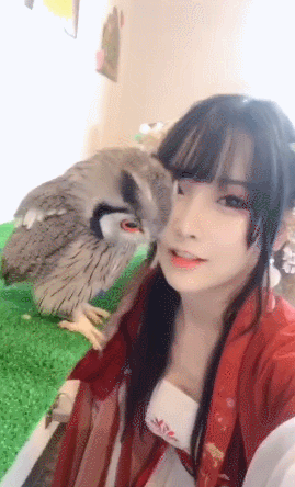 Cute OWL with big eyes
