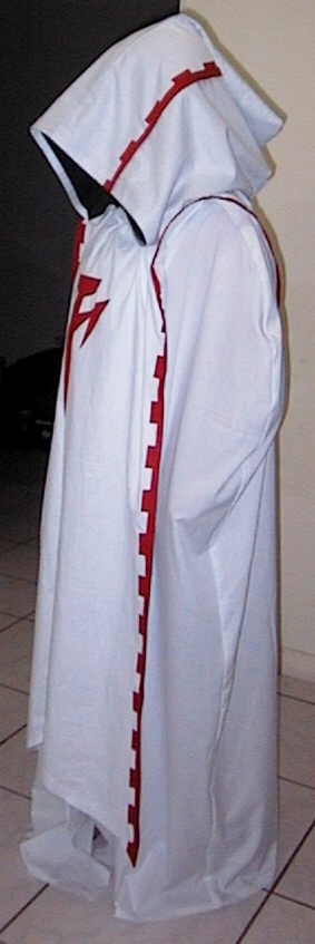 fss costume 2001